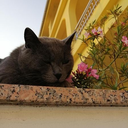 Apartments With A Parking Space Dramalj, Crikvenica - 5592 ภายนอก รูปภาพ
