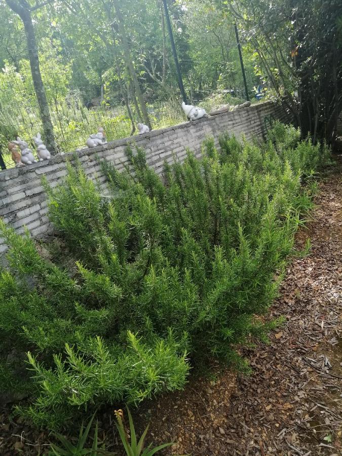 Apartments With A Parking Space Dramalj, Crikvenica - 5592 ภายนอก รูปภาพ